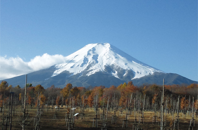山梨県クレー射撃協会